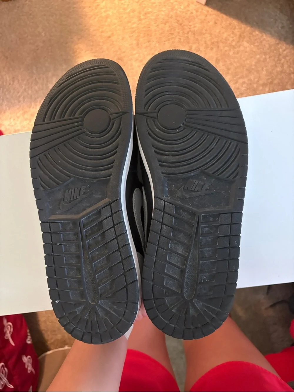Jordan 1 Low Shadow